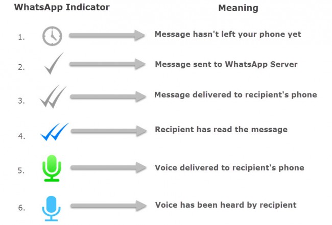 Que signifient les coches sur WhatsApp