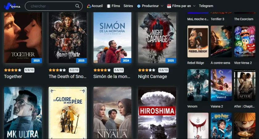 Quelle est la nouvelle adresse de Wookfr en date du 29 mars 2026