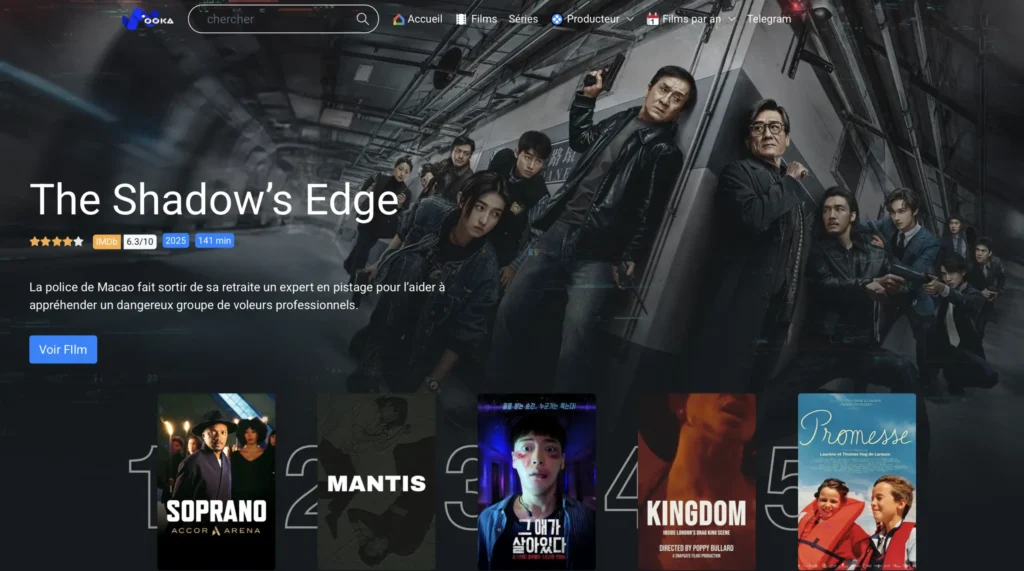 Wookfr est il accessible depuis la France sans blocage